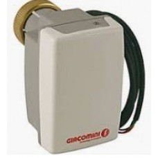 Электропривод Giacomini R206AM 24В K281X032