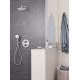 Верхний душ Grohe Tempesta 210 26411000