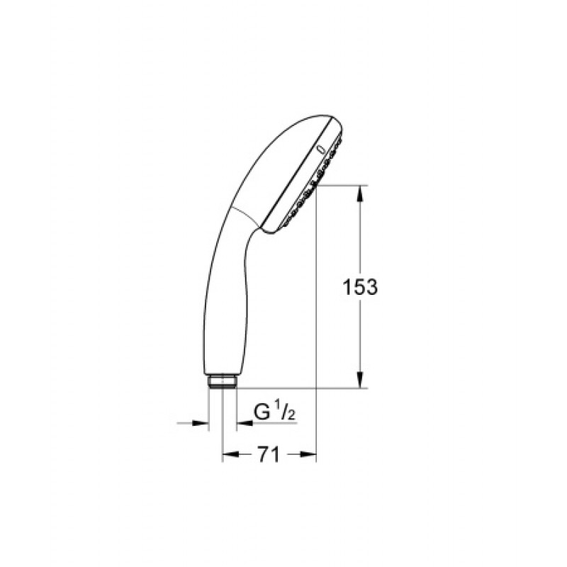 Душевая лейка Grohe New Tempesta 100 28419002