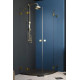 Душевая кабина Radaway Essenza Pro Gold PDD 900х2000 L 10095090-09-01L