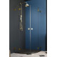 Душевая кабина Radaway Essenza Pro Gold PDD 1000х2000 R 10095100-09-01R
