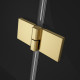 Душевая кабина Radaway Essenza Pro Gold DWJ 1200х2000 L 10099120-09-01L