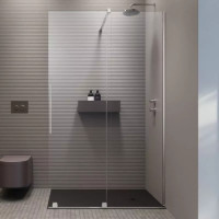 Душевая кабина Radaway Furo Walk-In 538х2000 R 10106538-01-01R
