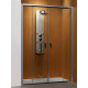Душевая кабина Radaway Premium Plus DWD 1600х1900 33363-01-06N