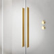 Душевая кабина Radaway Furo Gold DWD 438х2000 10108438-09-01