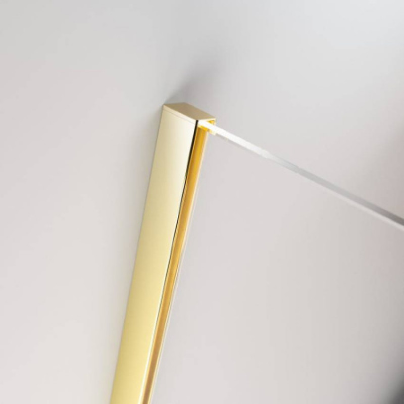 Душевая кабина Radaway Furo Gold DWD 538х2000 10108538-09-01