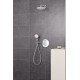 Верхний душ Grohe Tempesta 250 26668000