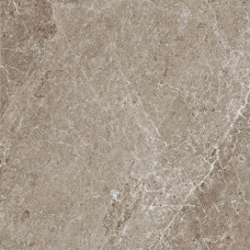 Плитка керамогранитная Blustyle Advantage Greige 600x600х9мм гладкая/матовая BGWAD20