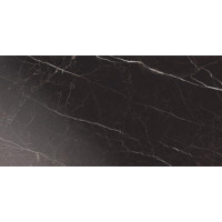Плитка керамогранитная Blustyle Elite Dark brown 600x1200х9,5мм гладкая/глянцевая BGXELG1