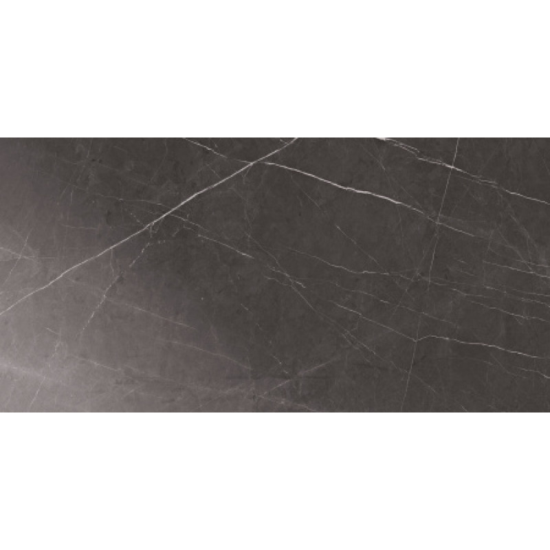 Плитка керамогранитная Blustyle Elite Pietra grey 600x1200х9,5мм гладкая/глянцевая BGXELG4