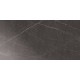 Плитка керамогранитная Blustyle Elite Pietra grey 600x1200х9,5мм гладкая/глянцевая BGXELG4