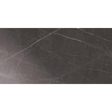 Плитка керамогранитная Blustyle Elite Pietra grey 600x1200х9,5мм гладкая/глянцевая BGXELG4