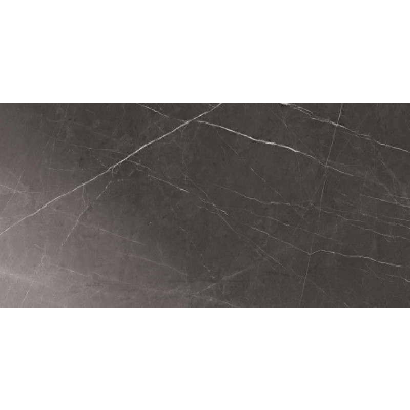 Плитка керамогранитная Blustyle Elite Pietra grey 600x1200х9,5мм гладкая/глянцевая BGXELG4