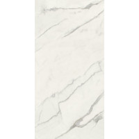 Плитка керамогранитная Blustyle Elite Statuario Bookmatch A 600x1200х9,5мм гладкая/глянцевая BGXELK3
