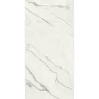 Плитка керамогранітна Blustyle Elite Statuario Bookmatch B 600x1200х9,5мм гладка/глянцева BGXELK4