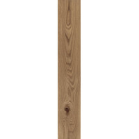 Плитка керамогранитная Blustyle Green Wood OAK naturale 200х1200х9,5 структурная/матовая BG0GW20
