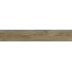 Плитка керамогранитная Blustyle Green Wood ASH Gold 200х1200х9,5мм гладкая/матовая BG0GW05