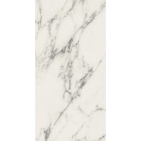 Плитка керамогранитная Panaria Eternity Arabesque 600X1200Х9.5мм гладкая/матовая PGXEN00