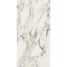 Плитка керамогранітна Panaria Eternity Arabesque 600X1200Х9.5мм гладка/глянсова PGXEN05