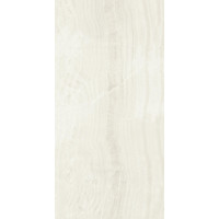 Плитка керамогранитная Panaria Trilogy Zero3 Onyx 500X1000Х5.5мм гладкая/матовая PZ9TYS2