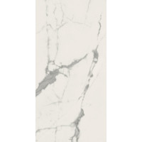 Плитка керамогранитная Panaria Eternity Statuario white 300X600Х9.5мм гладкая/матовая PGVEN20