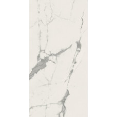 Плитка керамогранітна Panaria Eternity Statuario white 300X600Х9.5мм гладка/матова PGVEN20