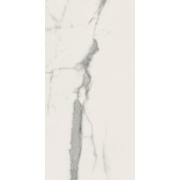 Плитка керамогранітна Panaria Eternity Statuario white 300X600Х9.5мм гладка/глянсова PGVEN25