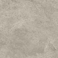 Плитка керамогранитная Bluestyle Elite Fior di bosco 600x600х9,5мм гладкая/матовая BGWEL20