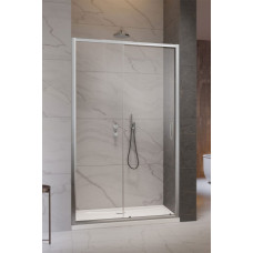 Душевые двери RADAWAY Premium Pro DWJ 1000x2000 мм 1014100-01-01L