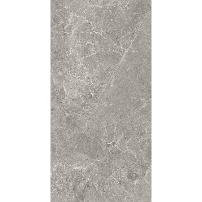 Плитка керамогранитная Cottodeste Advantage skin Silver 500x1000х3,5мм Kerlite гладкая/матовая EK9AD30