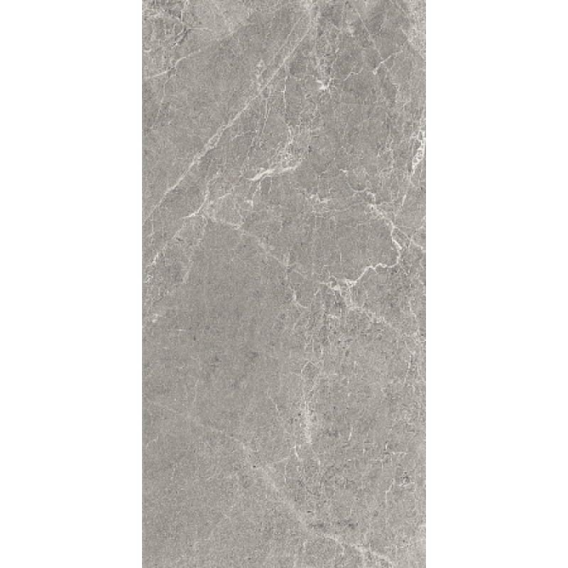 Плитка керамогранитная Cottodeste Advantage skin Silver 500x1000х3,5мм Kerlite гладкая/матовая EK9AD30