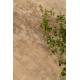 Плитка керамогранитная Cottodeste Woodland Walden 200x1200х6,5мм Kerlite гладкая/матовая wild EK3WL70