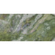 Плитка керамогранитная FMG Marmi select Connemarble irish 1200x600х8мм гладкая/полированная LU628487