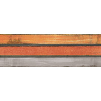 Плитка Iris Ceramica Maiolica, декор Riga Rosso 100x300х7, 5мм структурна/глянсова, для стіни 754936
