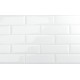 Плитка Iris Ceramica Adamas Albus 100x300х8,5мм гладкая/глянцевая, для стены 754969