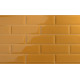 Плитка Iris Ceramica Adamas Arantia 100x300х8, 5мм гладка/глянсова, для стіни 754975