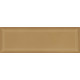 Плитка Iris Ceramica Adamas Semper 100x300х8,5мм гладкая/глянцевая, для стены 754977