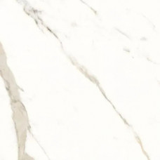 Плитка керамогранітна Panaria Trilogy Calacatta white 600x600х9, 5мм гладка/глянсова PGWTY60