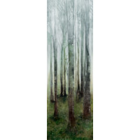 Плитка керамогранітна Cottodeste Wonderwall декор Dream A 1000x3000х3, 5мм Kerlite, гладка/матова EG7WP87
