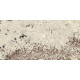 Плитка керамогранитная FMG Marmi select Alaska white 1200x600х8мм гладкая/матовая P628600