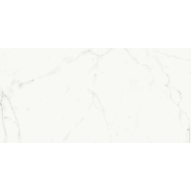 Плитка керамогранитная FMG Marmi select Bianco venato extra 1200x600х8мм гладкая/полированная LU628300