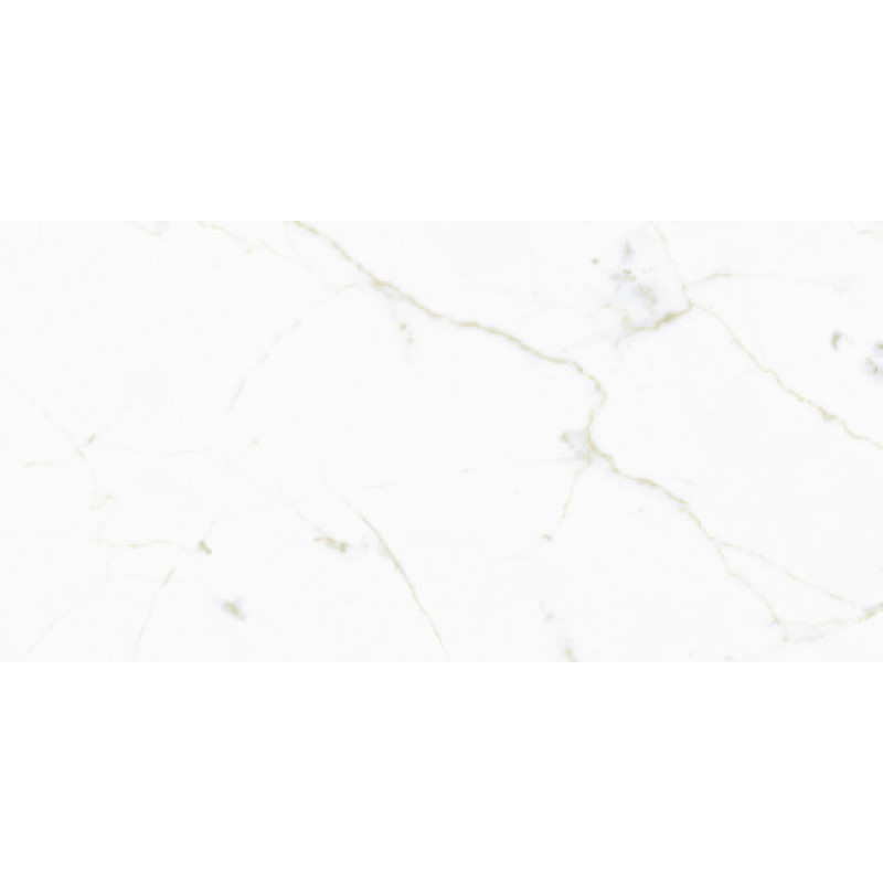Плитка керамогранитная FMG Marmi select Calacatta white 1200x600х8мм гладкая/полированная LU628389