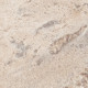 Плитка керамогранітна FMG Marmi select Gem rose 600x600х8мм гладка/полірована LU668373