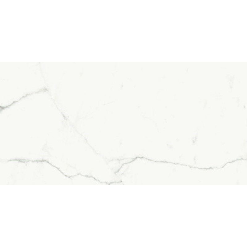 Плитка керамогранитная FMG Marmi select Bianco venato extra 1200x600х8мм гладкая/матовая P628300