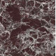Плитка керамогранитная FMG Marmi select Rosso lepanto 600x600х8мм гладкая/матовая P668550