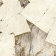Плитка керамогранитная FMG Marmi select Patagonia 1200x1200х8мм гладкая/лапатированная L1208606