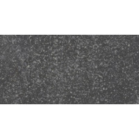 Плитка керамогранітна FMG Neo granito Impala 1200x600х10мм структурна/матова B62642