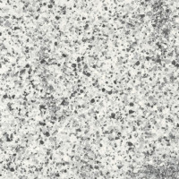 Плитка керамогранітна FMG Neo granito Kristal 600x600х10мм гладка/полірована L66644