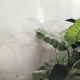 Плитка керамогранітна Refin Feel White 600x1200х9мм гладка/полірована OT03