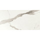 Плитка керамогранитная Blustyle Elite Statuario 600x1200х9,5мм гладкая/глянцевая BGXELG5